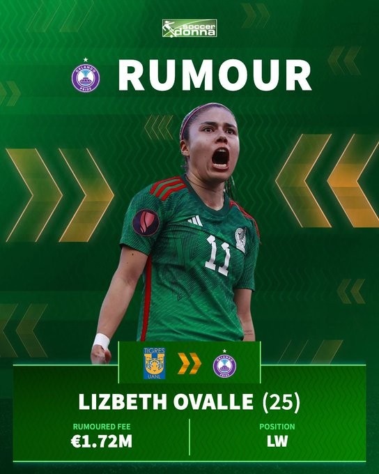 半岛体育注册网址-女足转会市场再创新高，奥瓦耶以150万美元加盟天空队刷新纪录